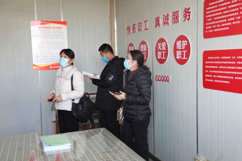 市级工会升级版标兵培育单位考核组莅临公司指导工作